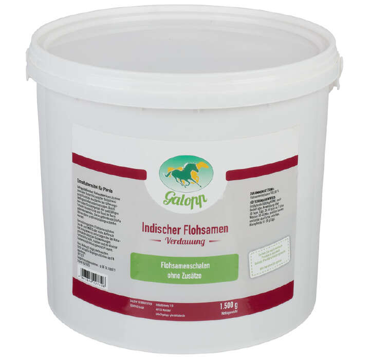 Galopp Indischer Flohsamen